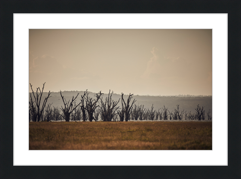 Lake Nakuru