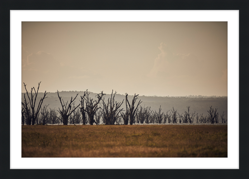 Lake Nakuru