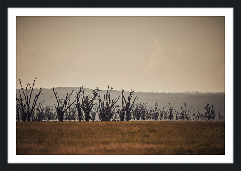 Lake Nakuru