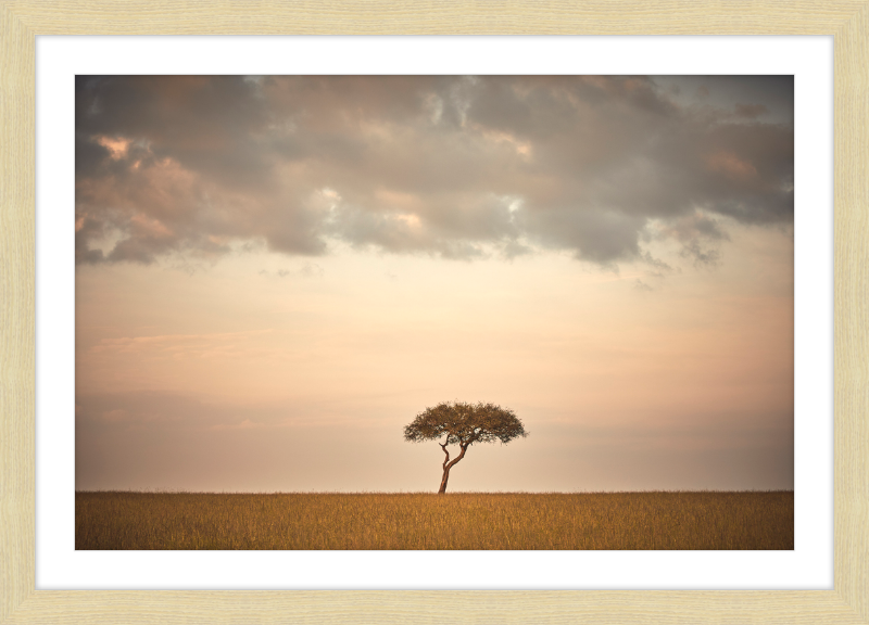 Lone Tree