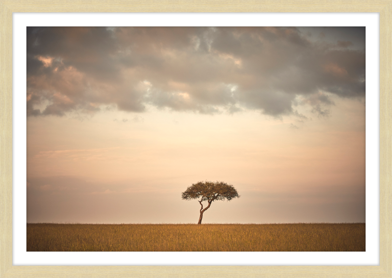 Lone Tree