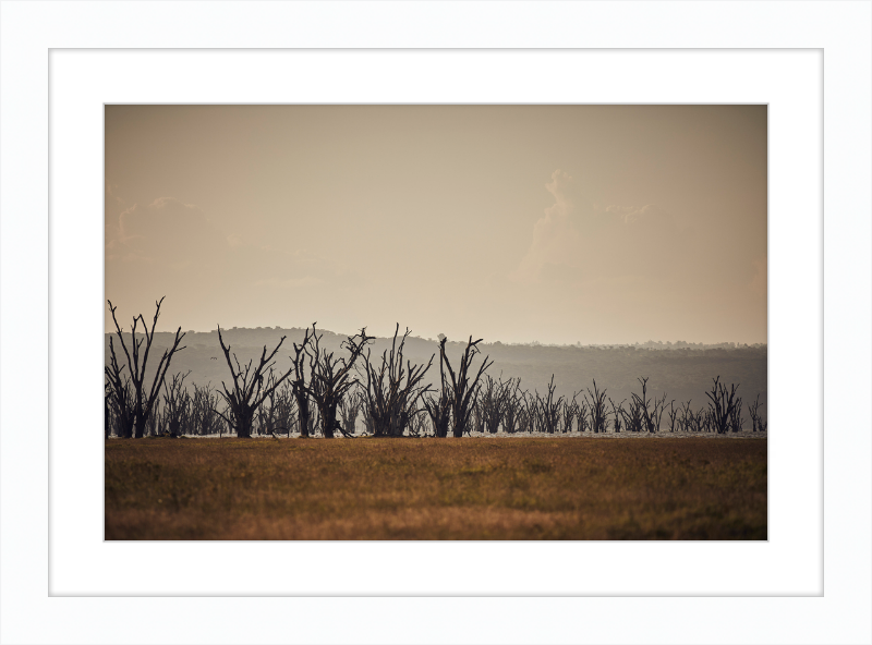 Lake Nakuru