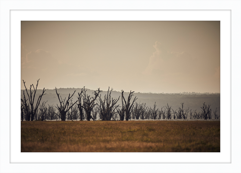 Lake Nakuru