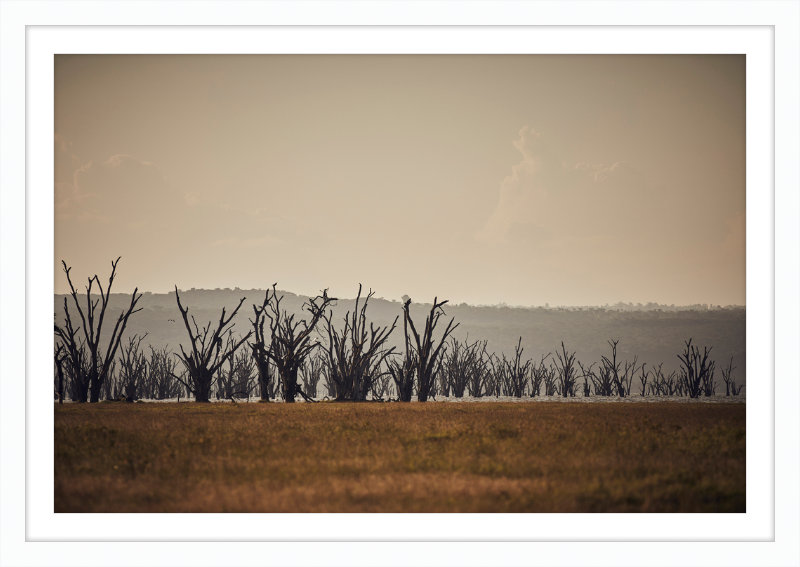 Lake Nakuru