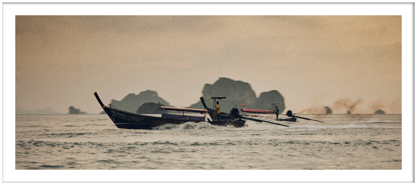 Lontails in Raleigh Bay